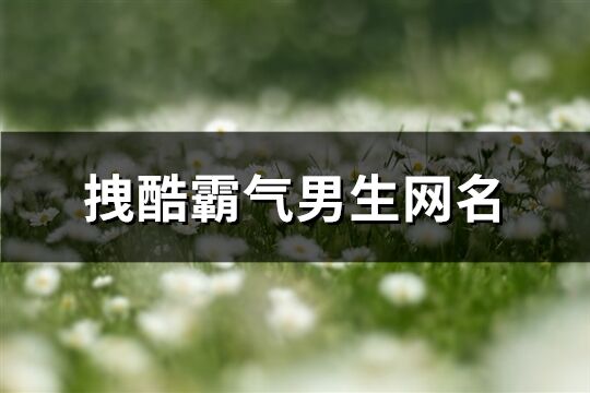 拽酷霸氣男生網名(358個)