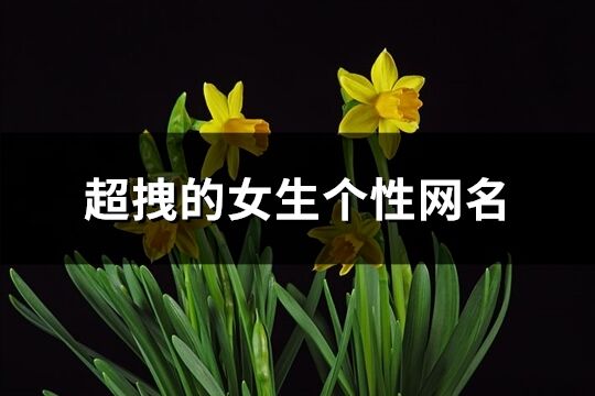 超拽的女生個性網名(459個)