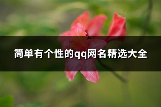 簡單有個性的qq網(wǎng)名精選大全(共1423個)