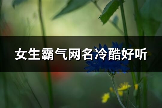 女生霸氣網(wǎng)名冷酷好聽(442個(gè))