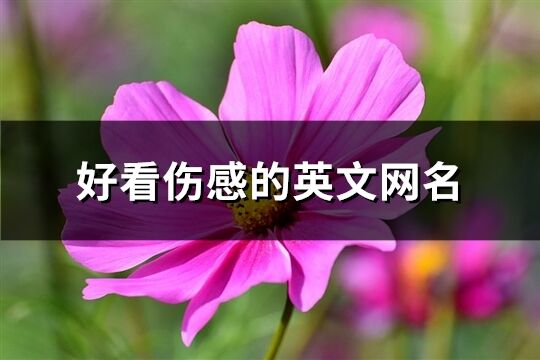 好看傷感的英文網名(共202個)