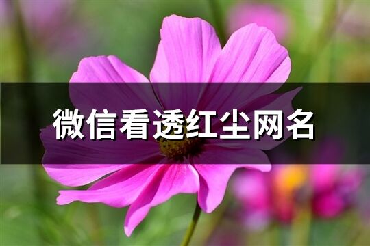微信看透紅塵網(wǎng)名(精選129個(gè))