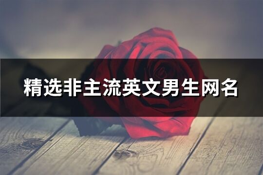 精選非主流英文男生網(wǎng)名(112個)
