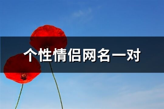 個性情侶網名一對(207個)