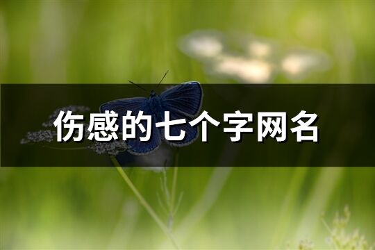 傷感的七個(gè)字網(wǎng)名(精選586個(gè))