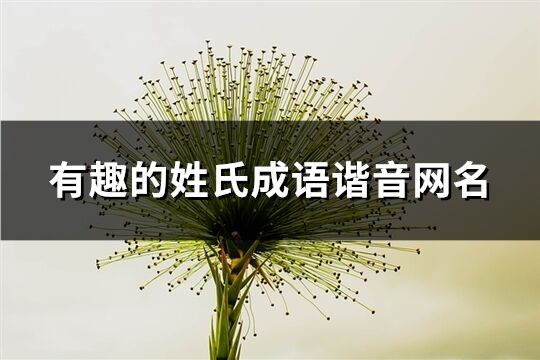 有趣的姓氏成語諧音網名(共51個)