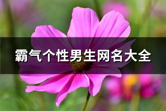 霸氣個性男生網名大全(共876個)