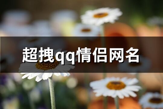 超拽qq情侶網名(精選162個)