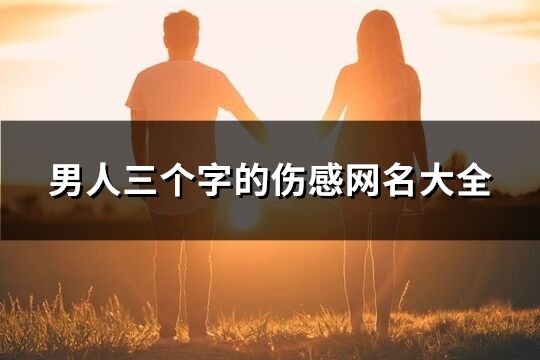 男人三個(gè)字的傷感網(wǎng)名大全(精選882個(gè))