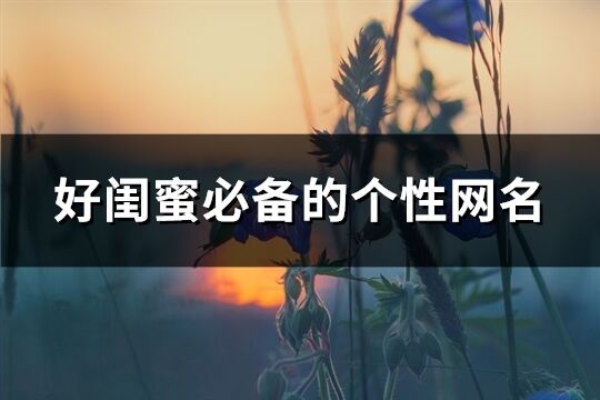 好閨蜜必備的個(gè)性網(wǎng)名(共92個(gè))