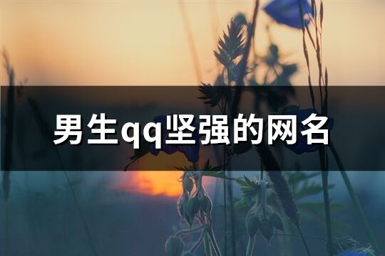 男生qq堅強的網名(392個)