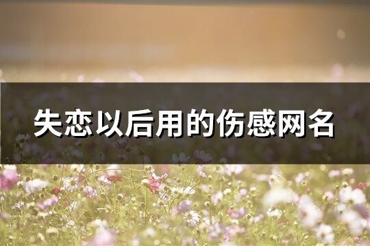 失戀以后用的傷感網名(共634個)