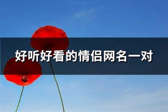 好聽好看的情侶網名一對(351個)