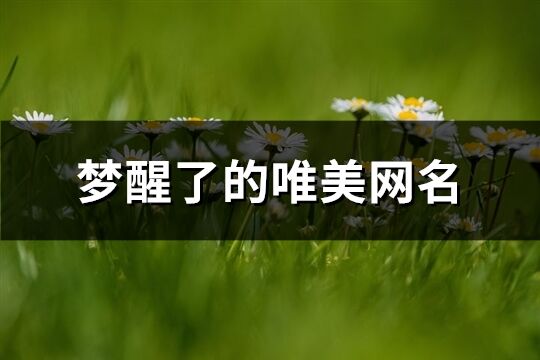 夢醒了的唯美網名(418個)