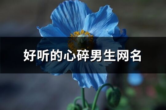 好聽的心碎男生網(wǎng)名(共292個(gè))