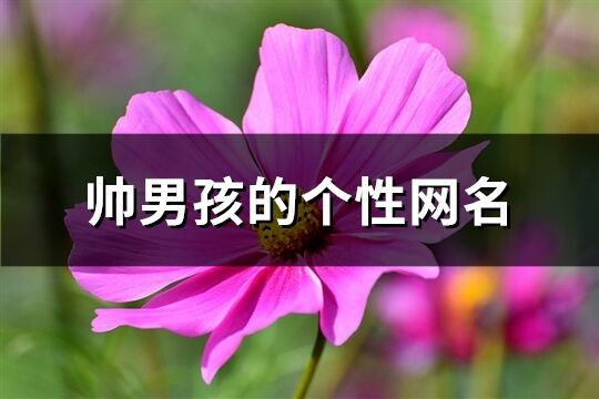 帥男孩的個(gè)性網(wǎng)名(共946個(gè))
