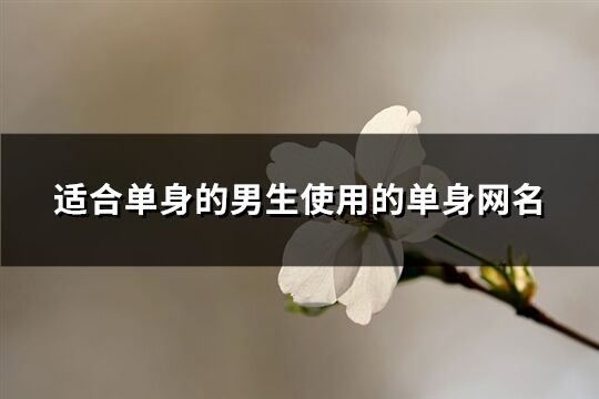 適合單身的男生使用的單身網(wǎng)名(401個)