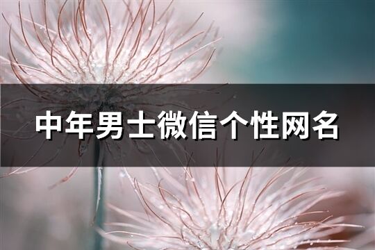 中年男士微信個性網名(精選525個)