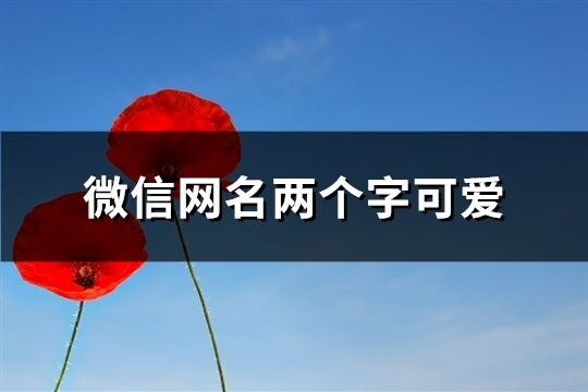 微信網名兩個字可愛(共1691個)