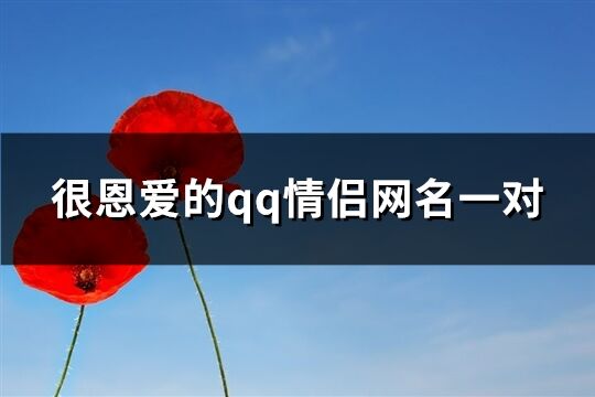 很恩愛的qq情侶網名一對(共269個)