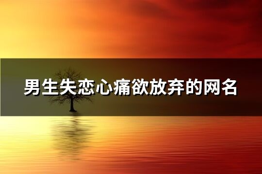 男生失戀心痛欲放棄的網(wǎng)名(精選307個(gè))