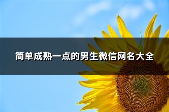 簡單成熟一點的男生微信網名大全(精選1128個)
