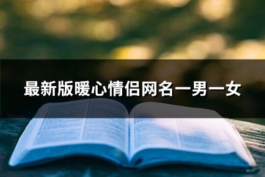 最新版暖心情侶網(wǎng)名一男一女(共377個(gè))