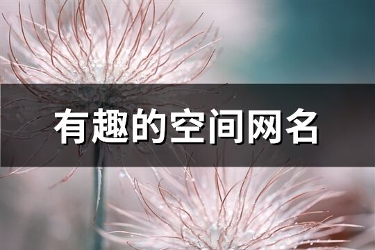 有趣的空間網名(共318個)