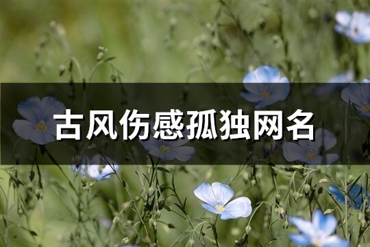 古風(fēng)傷感孤獨網(wǎng)名(共642個)