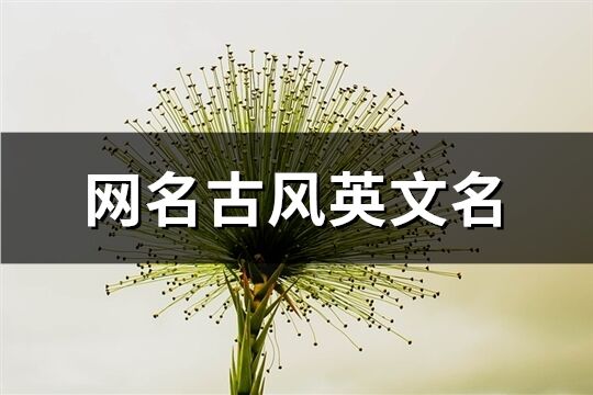 網名古風英文名(共126個)