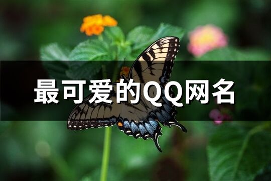最可愛的QQ網名(共297個)