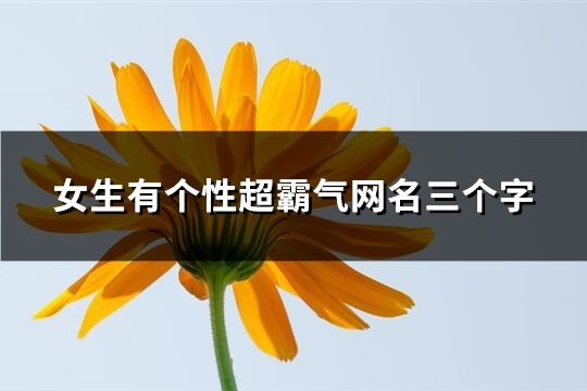 女生有個性超霸氣網名三個字(共792個)