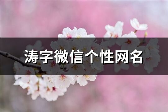 濤字微信個性網名(精選80個)