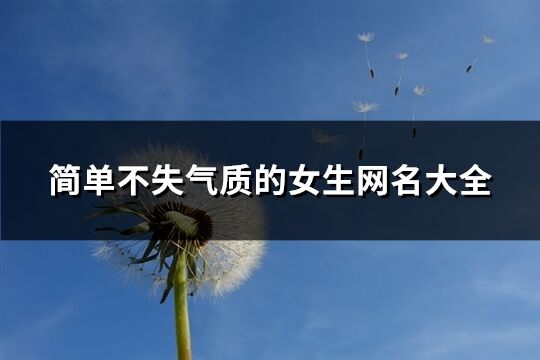 簡單不失氣質的女生網名大全(880個)
