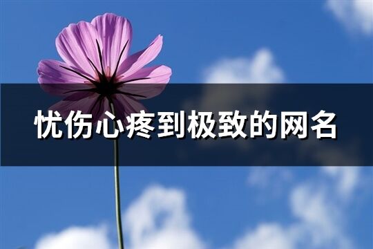 憂傷心疼到極致的網(wǎng)名(精選815個(gè))