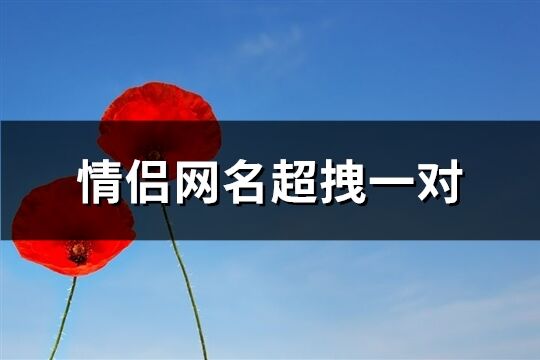 情侶網名超拽一對(精選162個)