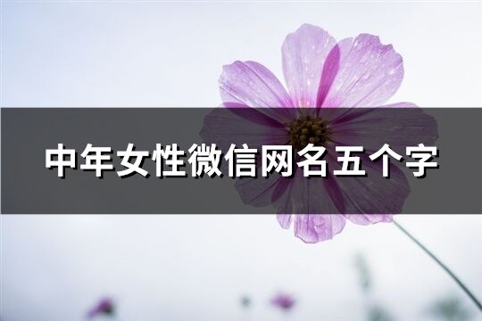 中年女性微信網(wǎng)名五個(gè)字(461個(gè))
