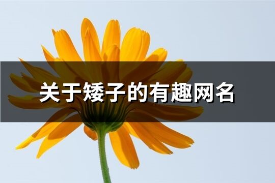 關(guān)于矮子的有趣網(wǎng)名(精選67個(gè))
