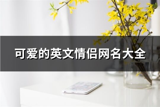 可愛的英文情侶網名大全(共64個)