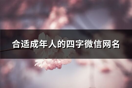 合適成年人的四字微信網名(298個)
