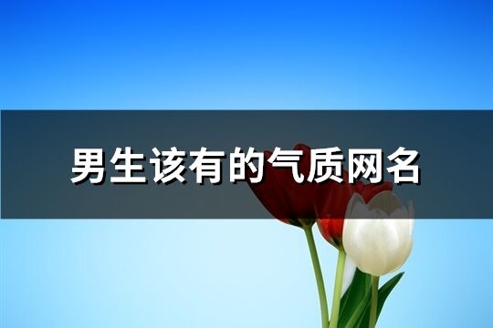 男生該有的氣質(zhì)網(wǎng)名(共319個)