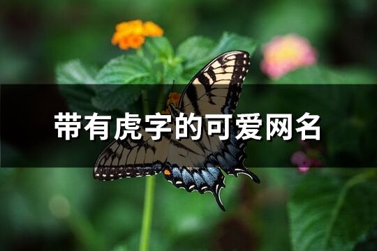 帶有虎字的可愛網(wǎng)名(精選147個)