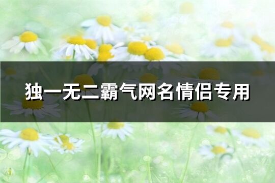 獨一無二霸氣網名情侶專用(290個)