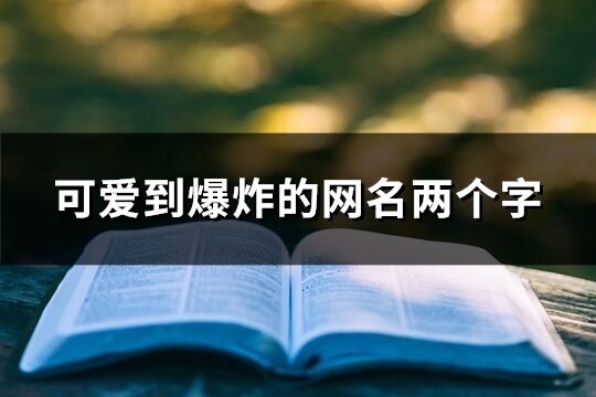 可愛到爆炸的網名兩個字(1622個)