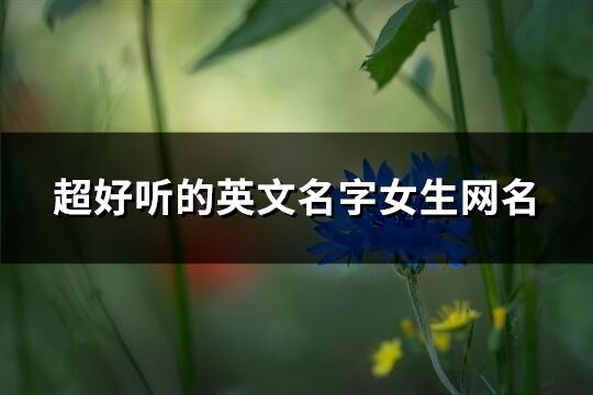 超好聽的英文名字女生網名(169個)