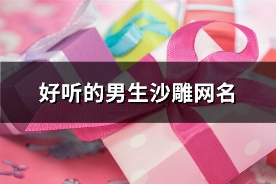 好聽的男生沙雕網名(658個)