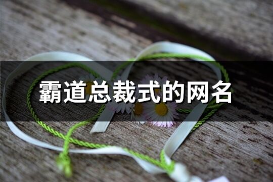 霸道總裁式的網名(397個)