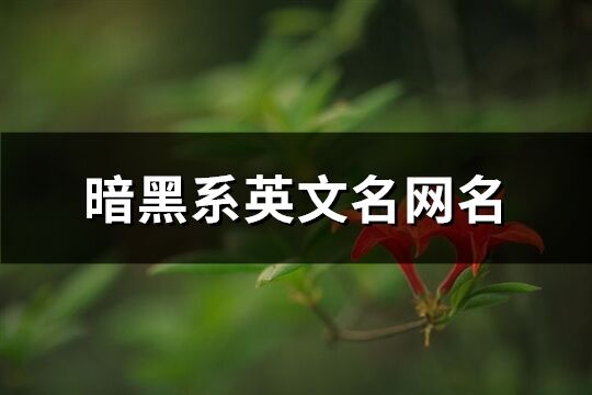 暗黑系英文名網名(101個)