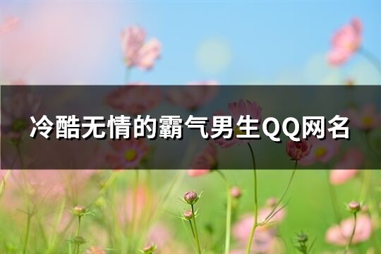 冷酷無情的霸氣男生QQ網名(精選622個)