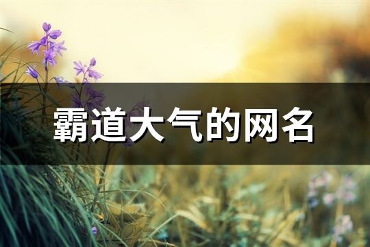 霸道大氣的網(wǎng)名(共436個)